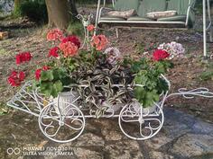 Ukrasna baštenska kolica