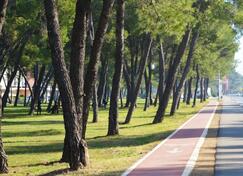 Jednosoban stan 43m2 - Podgorica - Blok 6