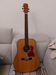 pradaem akustic gitar