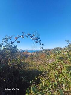 Građevinsko zemljište 10000m2 - Bar - Bar (uži dio)