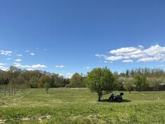 Poljoprivredno zemljište 2524m2 - Danilovgrad - Kopito