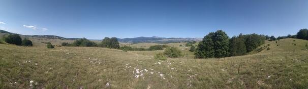 Građevinsko zemljište 1000m2 - Žabljak - Mala Crna Gora