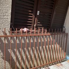  Ulazna kapija 2.26m x 1.20m