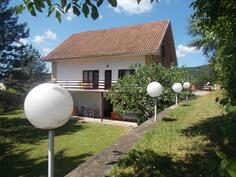 Porodična kuća 360m2 - Irig - Vrdnik