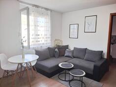 Jednosoban stan 45m2 - Podgorica - Centar grada