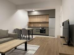 Jednosoban stan 47m2 - Podgorica - > Okolina grada Iva Vizina bb