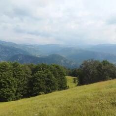 Poljoprivredno zemljište 88000m2 - Šavnik - Strug