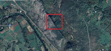 Poljoprivredno zemljište 20295m2 - Danilovgrad - Slap