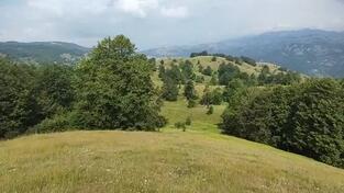 Poljoprivredno zemljište 88190m2 - Šavnik - Strug