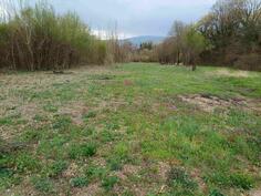 Poljoprivredno zemljište 4122m2 - Danilovgrad - Kopito