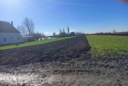 Građevinsko zemljište 2300m2 - Stara Pazova - Golubinci