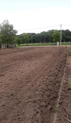Građevinsko zemljište 1500m2 - Ruma - Voganj