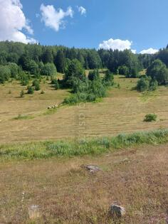 Građevinsko zemljište 9000m2 - Berane - > Okolina grada