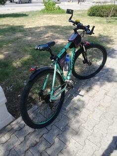 Capriolo - model