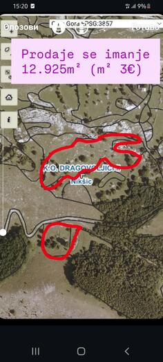 Građevinsko zemljište 12925m2 - Nikšić - Dragovoljići