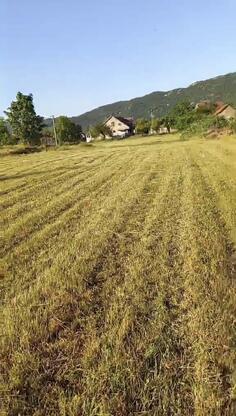 Poljoprivredno zemljište 10000m2 - Nikšić - Kličevo