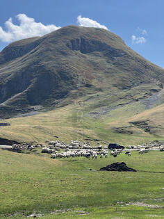 Građevinsko zemljište 2700m2 - Kolašin - Kolašin (uži dio)