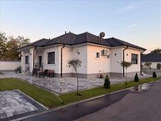 Porodična kuća 600m2 - Alibunar - Vladimirovac