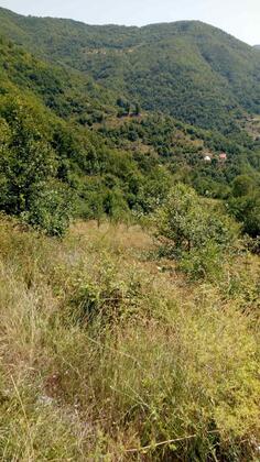 Poljoprivredno zemljište 70000m2 - Kolašin - Manastir Morača