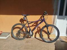 Scout - Martina