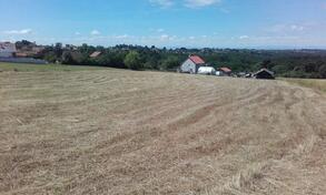 Poljoprivredno zemljište 5000m2 - Barajevo - Vranić