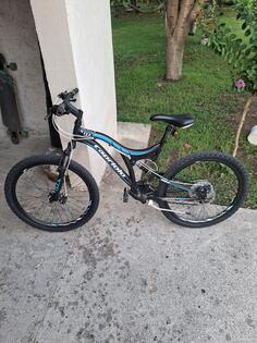 Capriolo - gtx