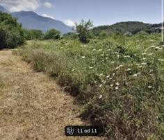 Građevinsko zemljište 1501m2 - Kotor - Lješevići