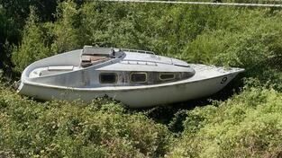Dufour - ExBR-409 "Delfin"