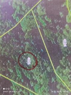 Poljoprivredno zemljište 8969m2 - Knjaževac - Crni Vrh