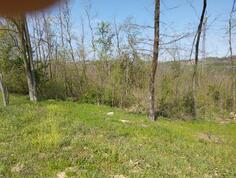 Građevinsko zemljište 3100m2 - Barajevo - Vranić
