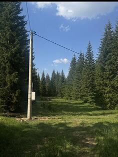 Građevinsko zemljište 1669m2 - Žabljak - Podgora