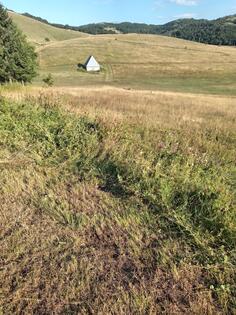 Poljoprivredno zemljište 4889m2 - Šavnik - Gornja Bukovica