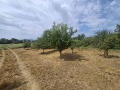 Poljoprivredno zemljište 4802m2 - Podgorica - Bijelo Polje