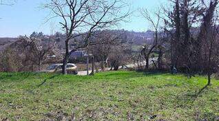 Građevinsko zemljište 1458m2 - Petrovaradin - Sremska Kamenica