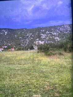 Poljoprivredno zemljište 63000m2 - Danilovgrad - Lalevići