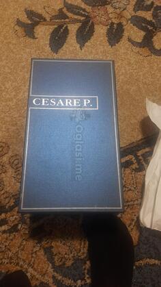 Cesare P