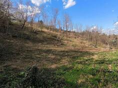 Građevinsko zemljište 1518m2 - Beočin - Beočin (uži dio)
