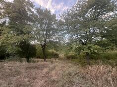 Poljoprivredno zemljište 2660m2 - Podgorica - Pričelje