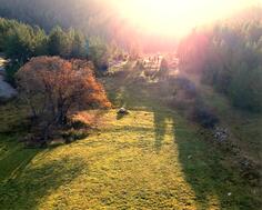 Građevinsko zemljište 1350m2 - Žabljak - Vrela
