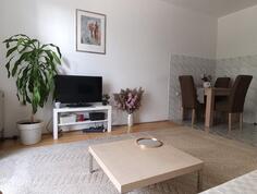 Jednosoban stan 40m2 - Podgorica - Podgorica (uži dio)