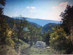 Građevinsko zemljište 430m2 - Herceg Novi - Sasovići