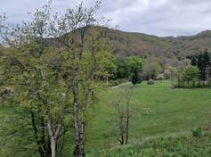Građevinsko zemljište 1000m2 - Kolašin - Moračko Trebaljevo