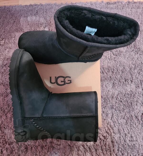 UGG original čizme 