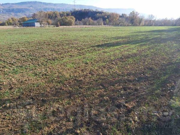 Poljoprivredno zemljište 8114m2 - Danilovgrad - Donji Martinići