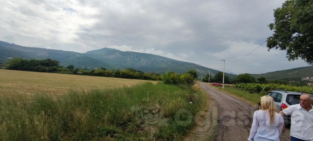 Poljoprivredno zemljište 5800m2 - Podgorica - Beri