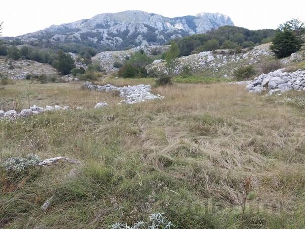 Građevinsko zemljište 20000m2 - Cetinje - Ivanova Korita