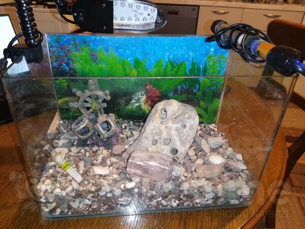 Prodajem akvarijum sa opremom 