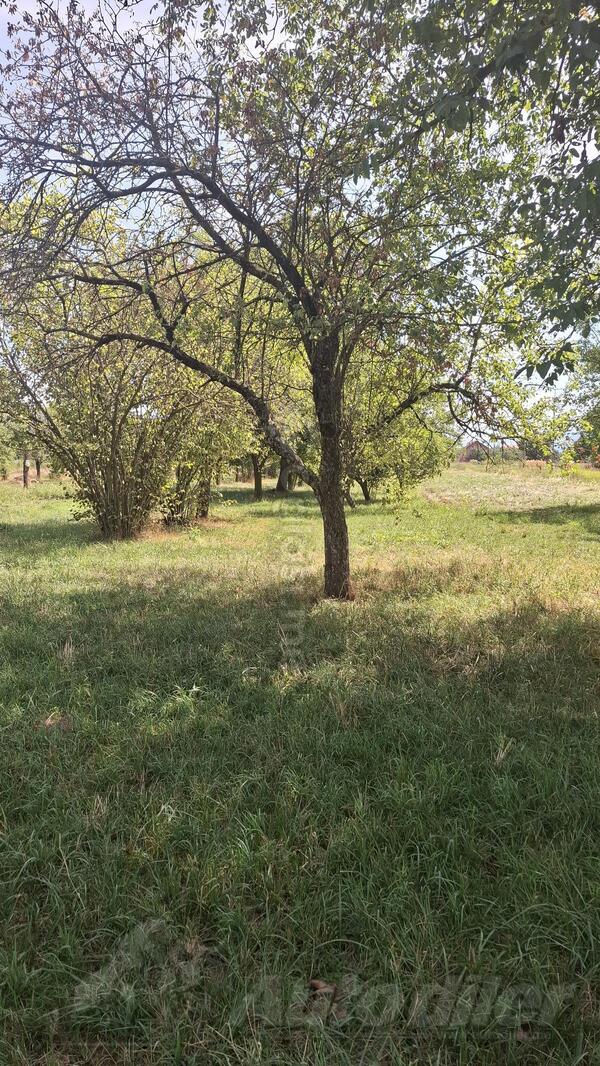 Građevinsko zemljište 1571m2 - Nikšić - Nikšić (uži dio)