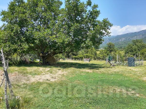 Poljoprivredno zemljište 1000m2 - Podgorica - Podgorica (uži dio)