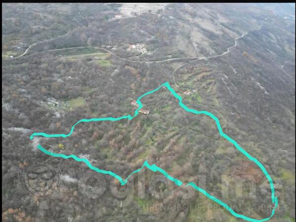Poljoprivredno zemljište 60000m2 - Danilovgrad - Lazarev Krst